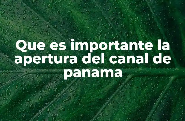Que es Importante la Apertura Del Canal de Panama