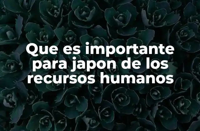 Que es Importante para Japon de los Recursos Humanos