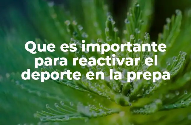 Que es Importante para Reactivar el Deporte en la Prepa 2 La importancia de un enfoque integral en la educación física escolar