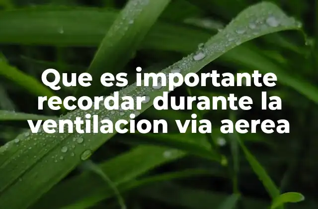 Que es Importante Recordar durante la Ventilacion Via Aerea