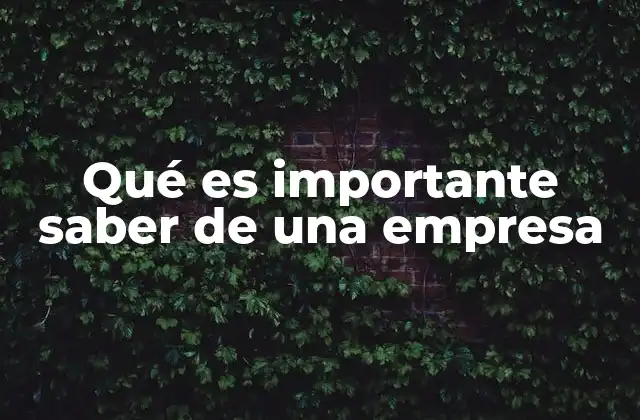 Qué es Importante Saber de una Empresa