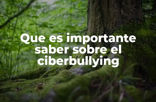 Que es Importante Saber sobre el Ciberbullying
