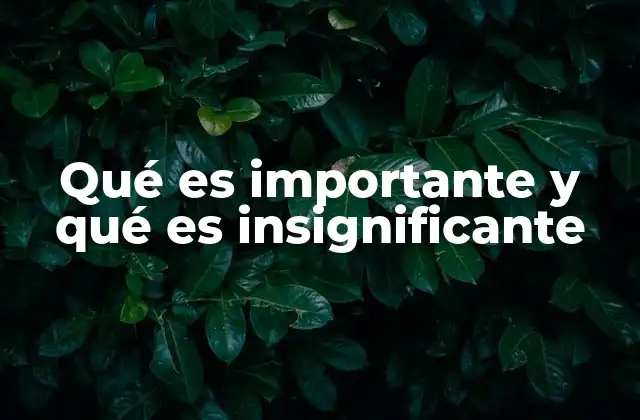 Qué es Importante y Qué es Insignificante