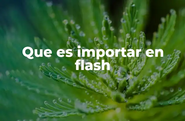 Que es Importar en Flash
