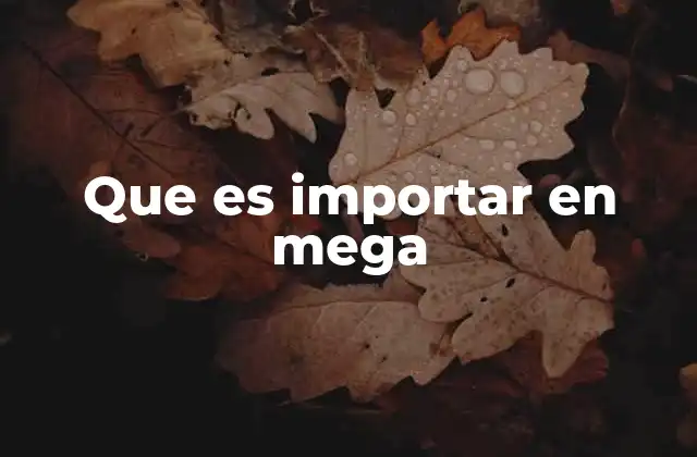 Que es Importar en Mega 2 Ventajas de importar en Mega