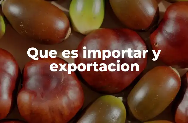 Que es Importar y Exportacion