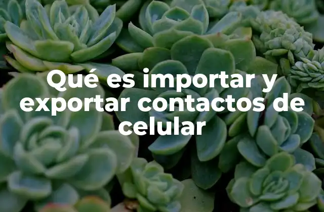 Qué es Importar y Exportar Contactos de Celular