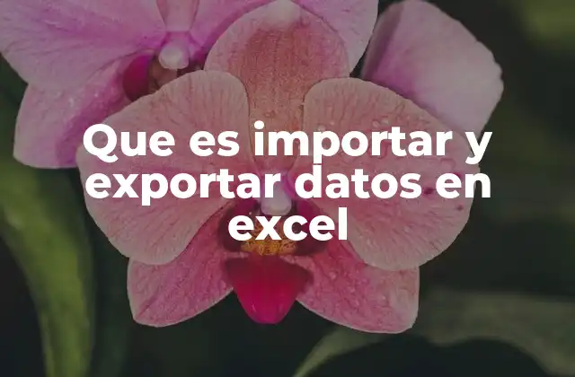 Que es Importar y Exportar Datos en Excel