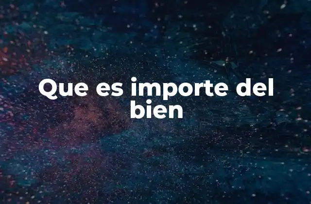 Que es Importe Del Bien