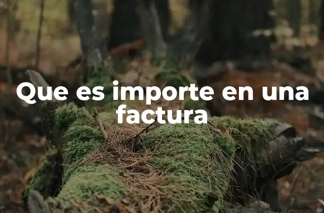 Que es Importe en una Factura