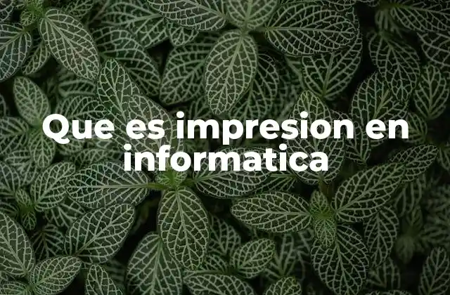 Que es Impresion en Informatica