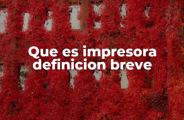 Que es Impresora Definicion Breve