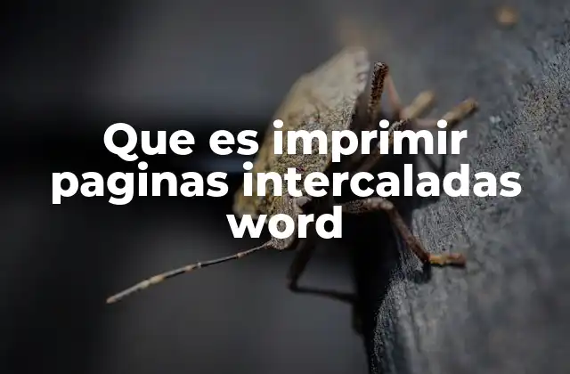 Que es Imprimir Paginas Intercaladas Word