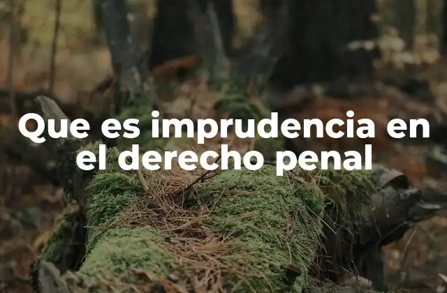 Que es Imprudencia en el Derecho Penal