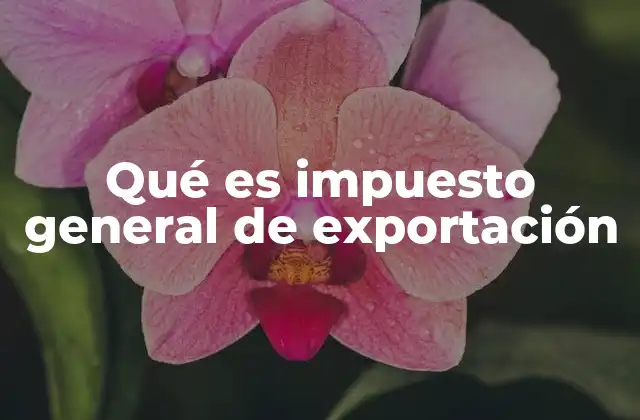 Qué es Impuesto General de Exportación