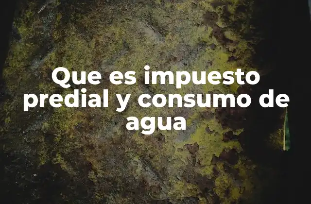 Que es Impuesto Predial y Consumo de Agua 2 ¿Cómo afectan el impuesto predial y el consumo de agua a los hogares?