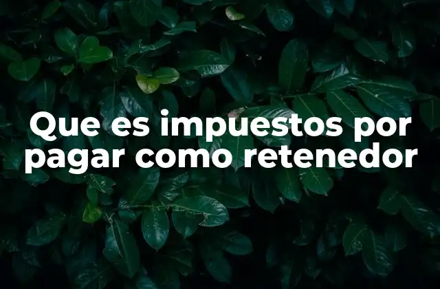 Que es Impuestos por Pagar como Retenedor 2 La responsabilidad fiscal de las empresas retenedoras