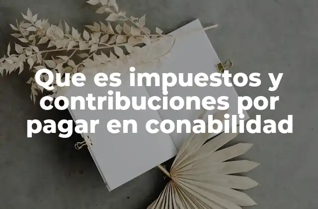 Que es Impuestos y Contribuciones por Pagar en Conabilidad