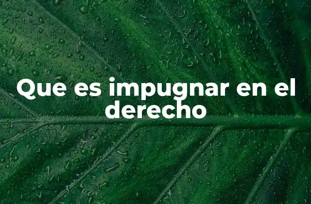 Que es Impugnar en el Derecho