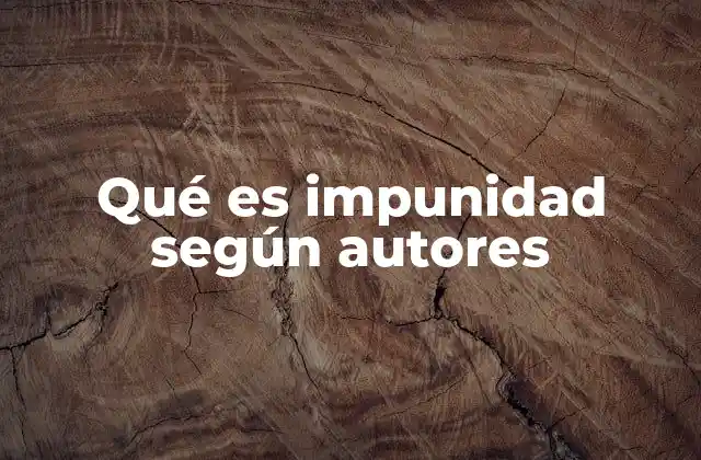 Qué es Impunidad según Autores