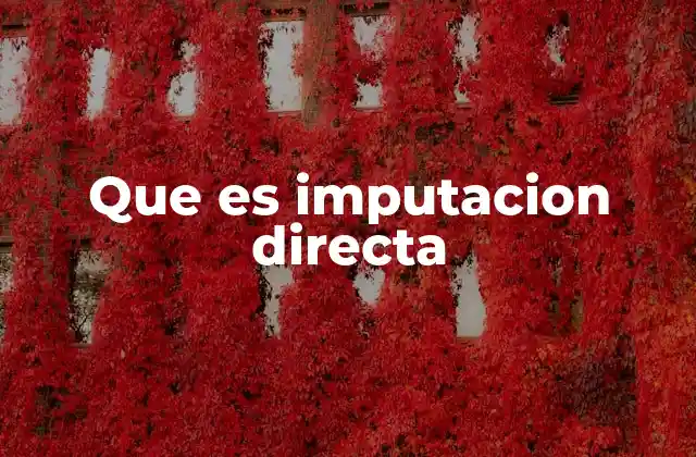 Que es Imputacion Directa