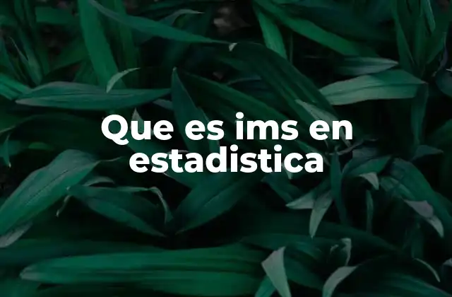 Que es Ims en Estadistica