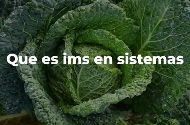 Que es Ims en Sistemas