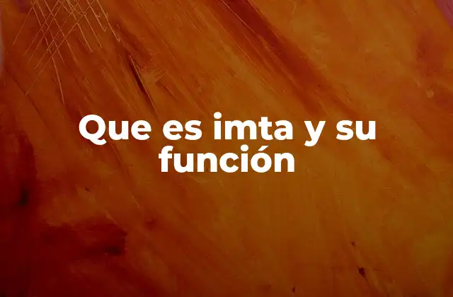 Que es Imta y Su Función