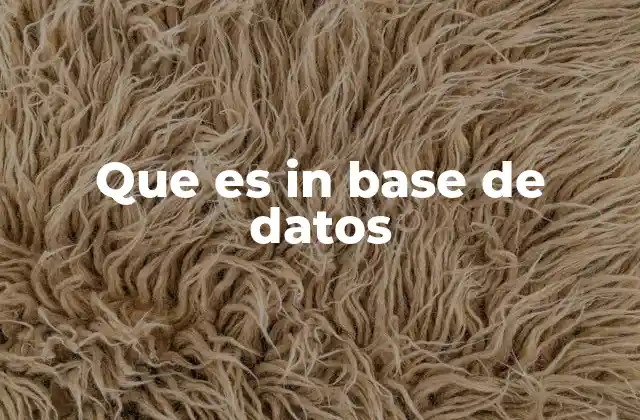 Que es In Base de Datos