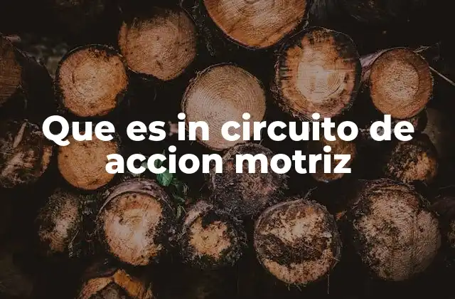 Que es In Circuito de Accion Motriz