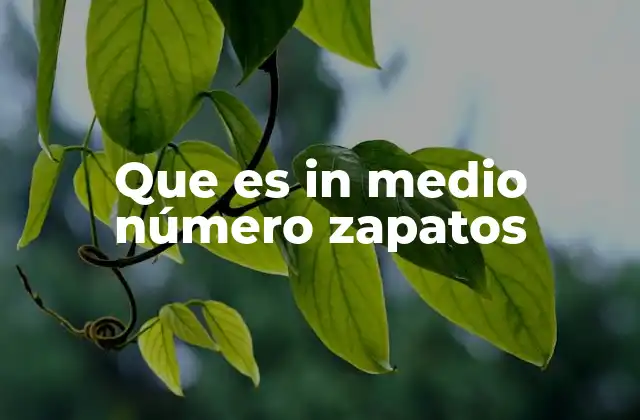 Que es In Medio Número Zapatos