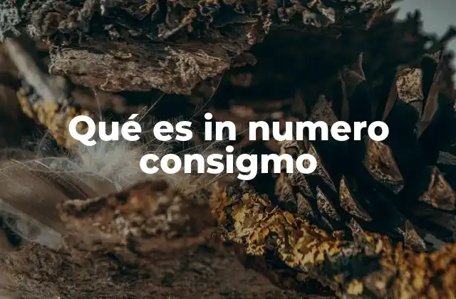Qué es In Numero Consigmo