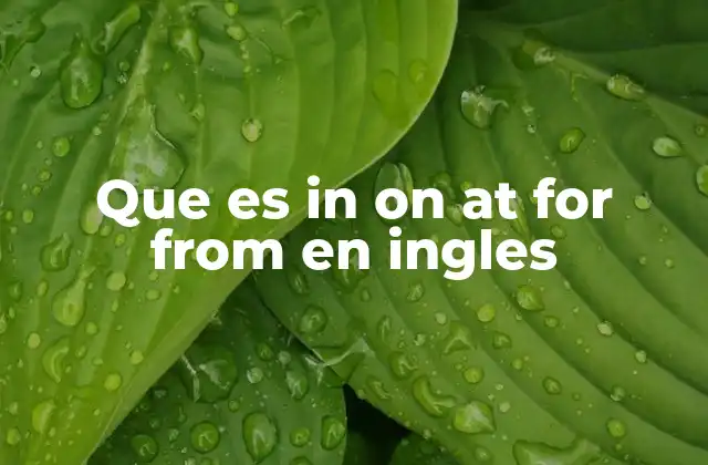 Que es In On At For From en Ingles