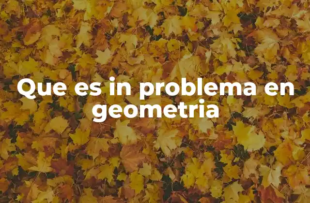 Que es In Problema en Geometria