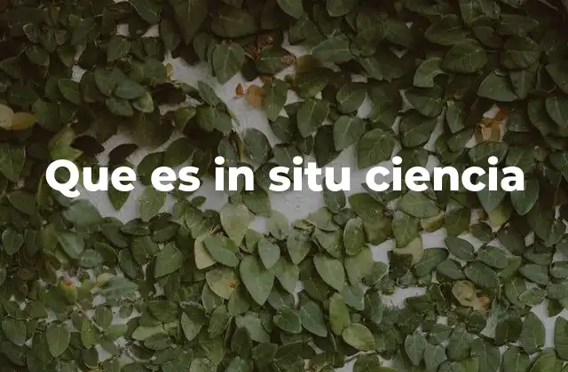 Que es In Situ Ciencia
