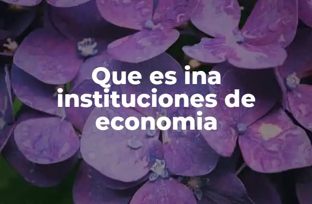 Que es Ina Instituciones de Economia
