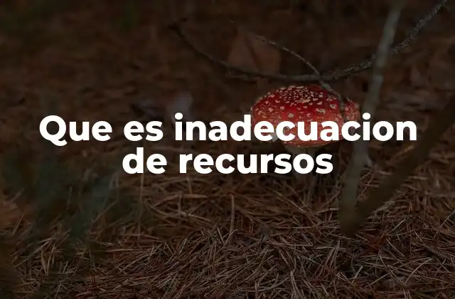 Que es Inadecuacion de Recursos