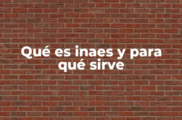 Qué es Inaes y para Qué Sirve
