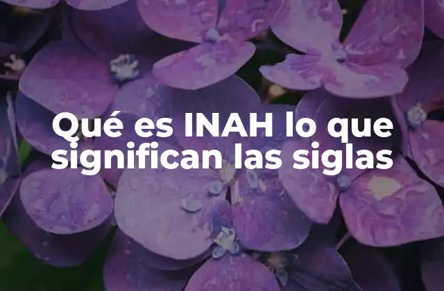 Qué es Inah Lo que Significan las Siglas