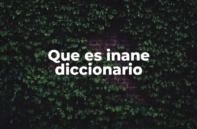 Que es Inane Diccionario