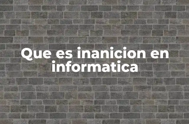 Que es Inanicion en Informatica