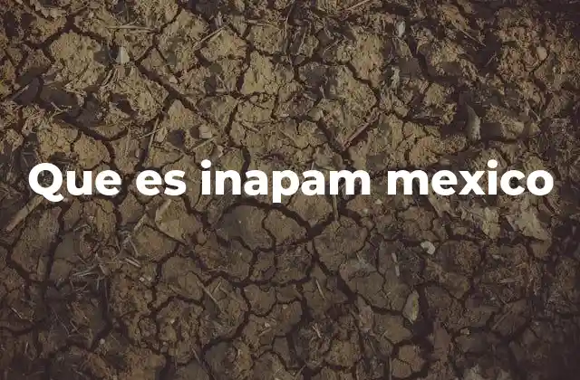 Que es Inapam Mexico