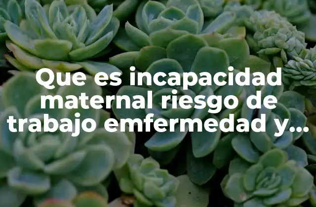 Que es Incapacidad Maternal Riesgo de Trabajo Emfermedad y Accidentes