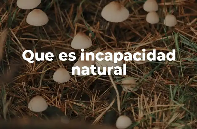 Que es Incapacidad Natural