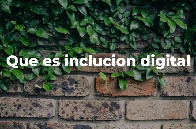 Que es Inclucion Digital