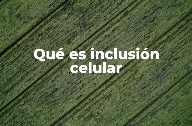 Qué es Inclusión Celular