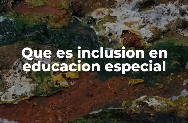 Que es Inclusion en Educacion Especial