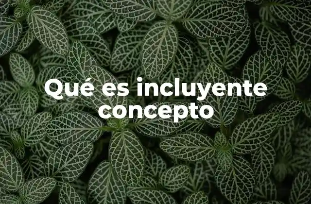 Qué es Incluyente Concepto