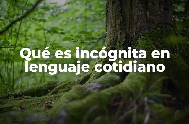 Qué es Incógnita en Lenguaje Cotidiano