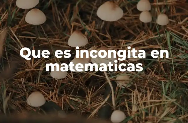 Que es Incongita en Matematicas